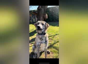 Draghino: es sollte nicht sein