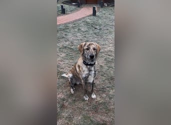 Draghino: es sollte nicht sein