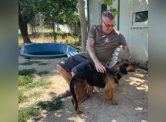 Bonni, zauberhafte Lady sucht Traumzuhause