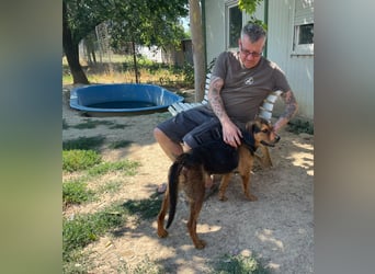Bonni, zauberhafte Lady sucht Traumzuhause