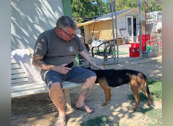 Bonni, zauberhafte Lady sucht Traumzuhause