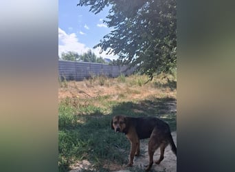 Bonni, zauberhafte Lady sucht Traumzuhause