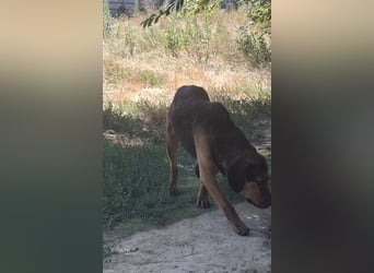 Bonni, zauberhafte Lady sucht Traumzuhause
