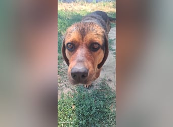 Bonni, zauberhafte Lady sucht Traumzuhause