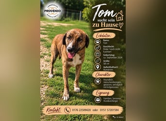 Tom sucht sein Glück