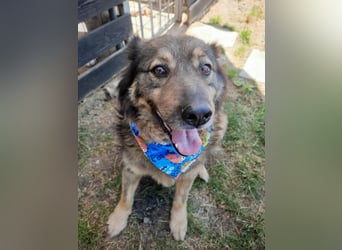 Reks - wartet seit 4 Jahren