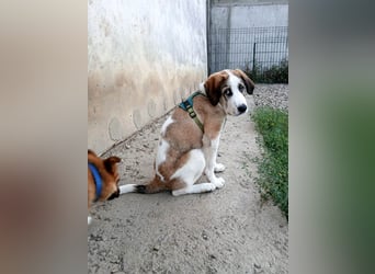 Geo wird sehr groß werden