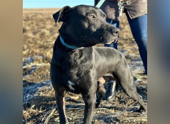 BRUNO (*2018) möchte endlich glücklich sein