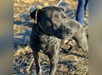 BRUNO (*2018) möchte endlich glücklich sein