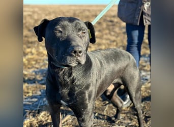 BRUNO (*2018) möchte endlich glücklich sein