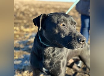 BRUNO (*2018) möchte endlich glücklich sein