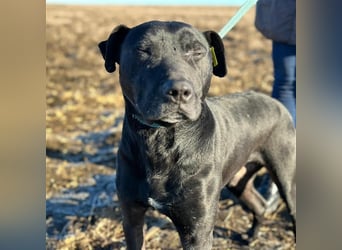 BRUNO (*2018) möchte endlich glücklich sein