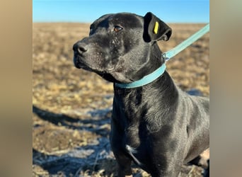 BRUNO (*2018) möchte endlich glücklich sein