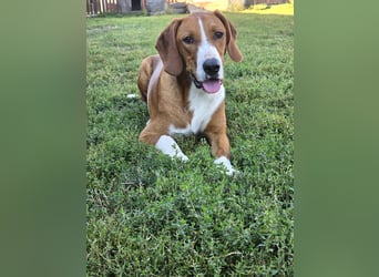 Vincent – Ein kleiner Charmeur mit großer Abenteuerlust sucht sein Zuhause