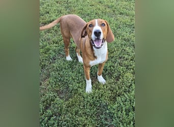 Vincent – Ein kleiner Charmeur mit großer Abenteuerlust sucht sein Zuhause