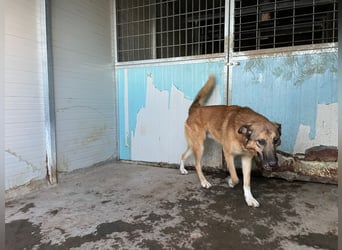 DANNY - sensibel & menschenbezogen