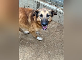 DANNY - sensibel & menschenbezogen