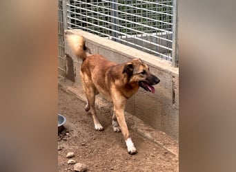 DANNY - sensibel & menschenbezogen