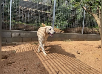 PINKO - mit den liebsten Augen der Welt