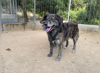 LUIGI - unser Italiener mit viel Charme