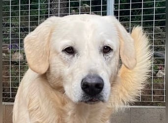 PINKO - mit den liebsten Augen der Welt