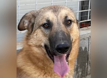 DANNY - sensibel & menschenbezogen