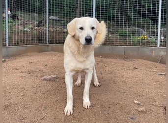 PINKO - mit den liebsten Augen der Welt