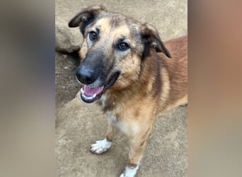 DANNY - sensibel & menschenbezogen