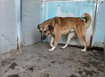 DANNY - sensibel & menschenbezogen