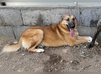 DANNY - sensibel & menschenbezogen