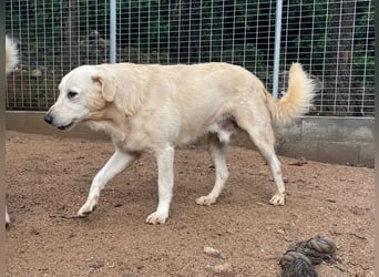 PINKO - mit den liebsten Augen der Welt