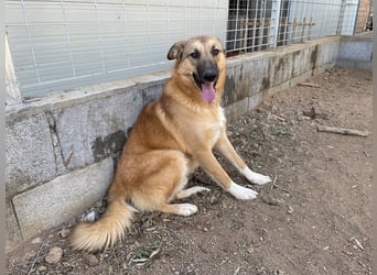 DANNY - sensibel & menschenbezogen