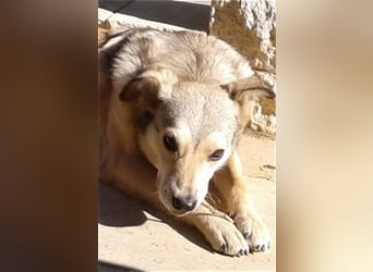 Svetlana-schöne Seniorin sucht Altersruheplatz