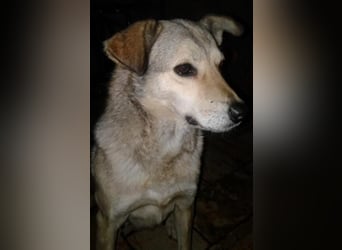Svetlana-schöne Seniorin sucht Altersruheplatz