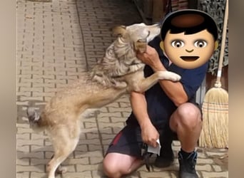 Svetlana - Seniorin sucht Altersruheplatz