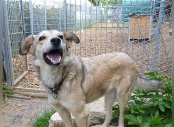 Svetlana - Seniorin sucht Altersruheplatz