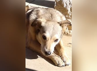 Svetlana-schöne Seniorin sucht Altersruheplatz