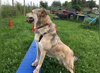 Svetlana-schöne Seniorin sucht Altersruheplatz