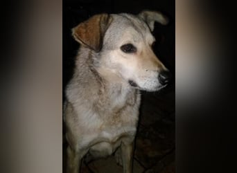 Svetlana-schöne Seniorin sucht Altersruheplatz