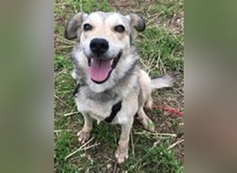 Svetlana - Seniorin sucht Altersruheplatz