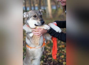 Sanfte Vivien sucht ihre Familie