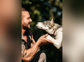 Freundlicher Bimka sucht seine Familie