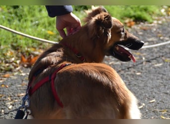 Dani wartet auf Menschen die ihr mit Ruhe und Geduld zeigen, dass das Leben schön ist