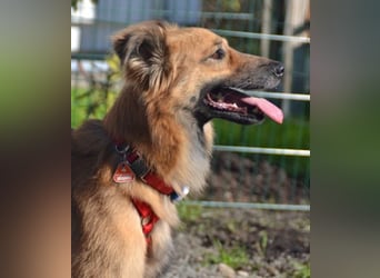 Dani wartet auf Menschen die ihr mit Ruhe und Geduld zeigen, dass das Leben schön ist