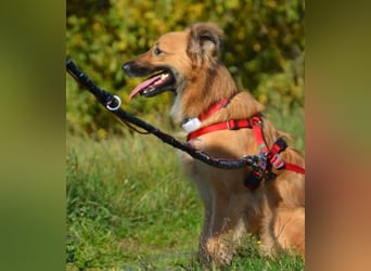 Dani wartet auf Menschen die ihr mit Ruhe und Geduld zeigen, dass das Leben schön ist