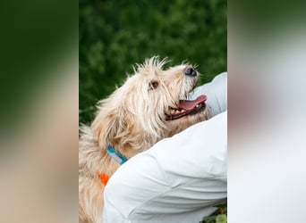 Fröhliche Lulu sucht ihre Familie