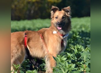 süsse Dani sucht ihr Glück