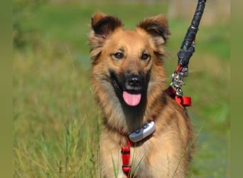 Dani wartet auf Menschen die ihr mit Ruhe und Geduld zeigen, dass das Leben schön ist