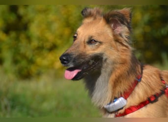 Dani wartet auf Menschen die ihr mit Ruhe und Geduld zeigen, dass das Leben schön ist