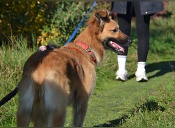 Dani wartet auf Menschen die ihr mit Ruhe und Geduld zeigen, dass das Leben schön ist